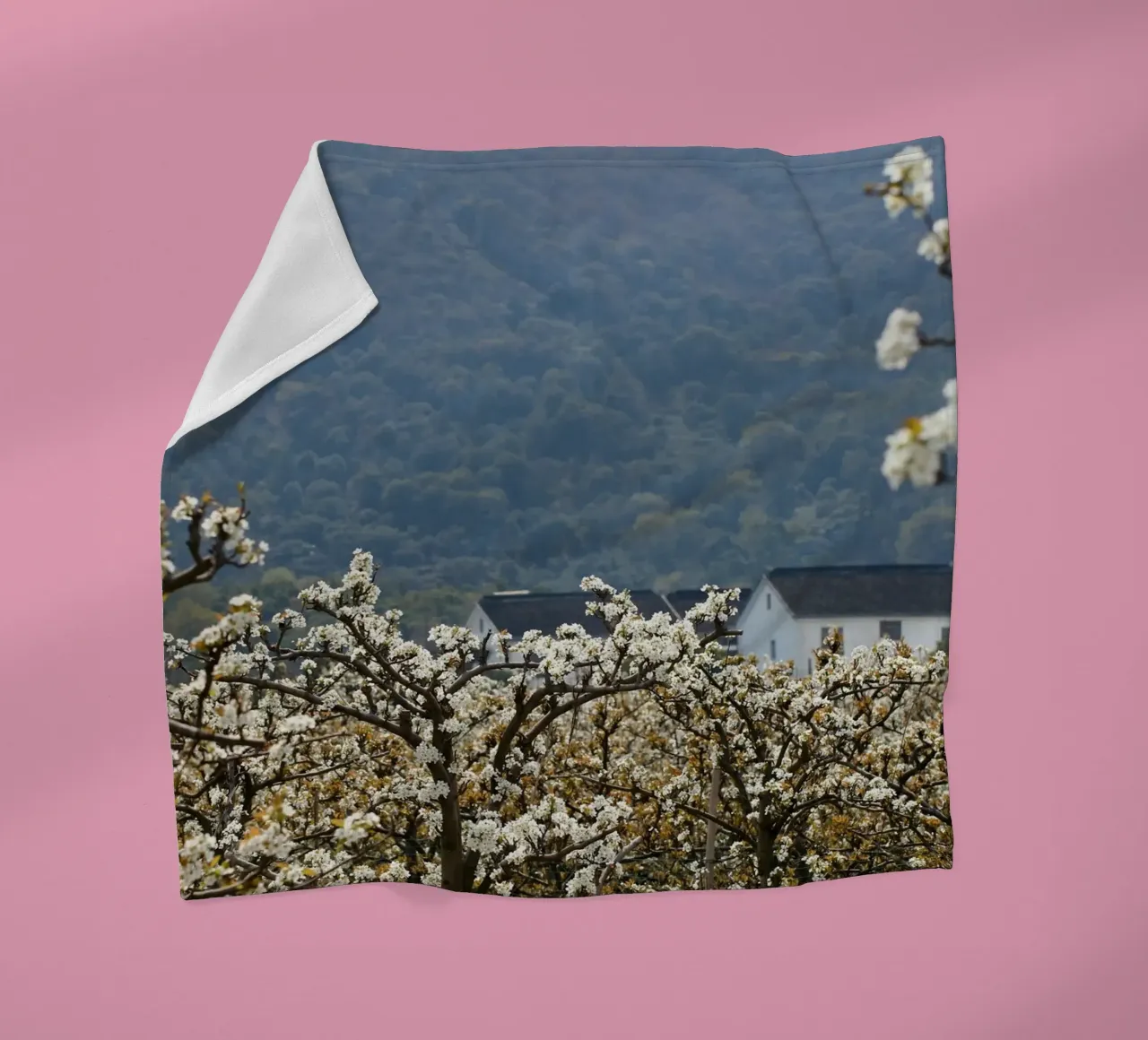 blossoming branches orchard coperta in pile da Histrol