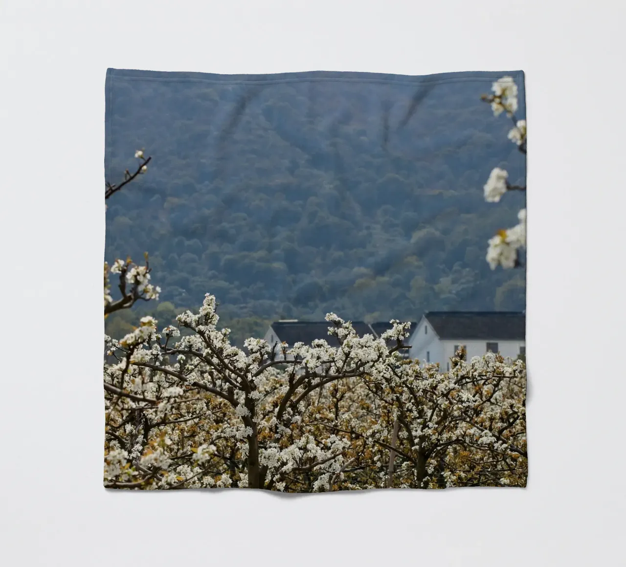 blossoming branches orchard coperta in pile da Histrol