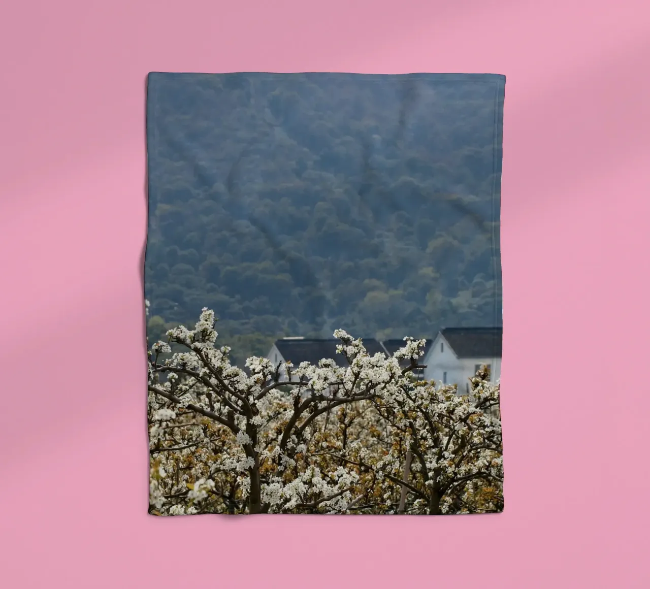 blossoming branches orchard coperta in pile da Histrol