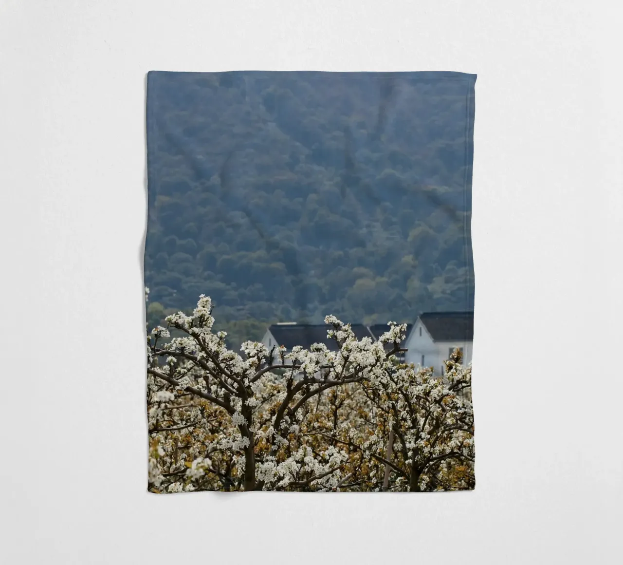 blossoming branches orchard coperta in pile da Histrol