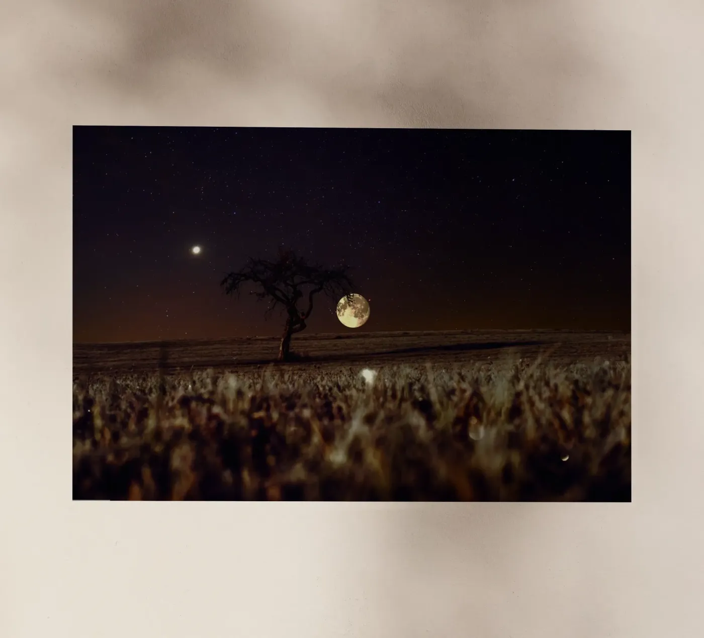bright moon pellicola backlit da Histrol
