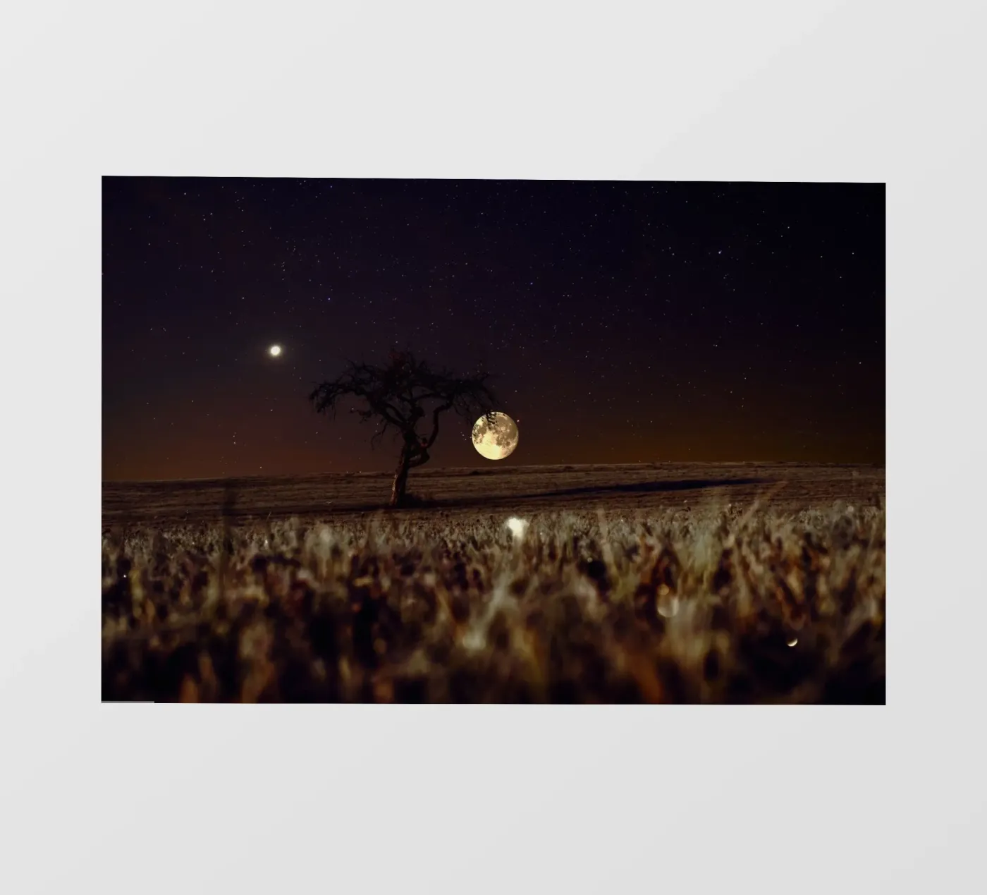 bright moon pellicola backlit da Histrol