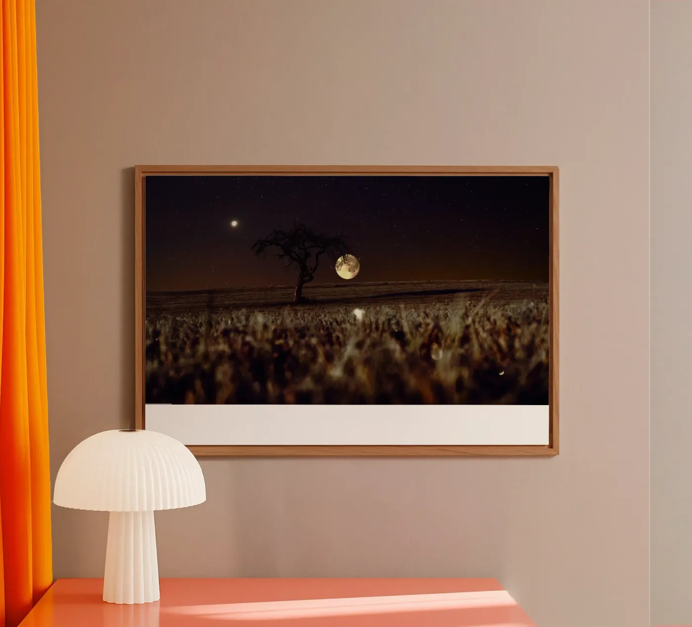 bright moon forex plate by Histrol