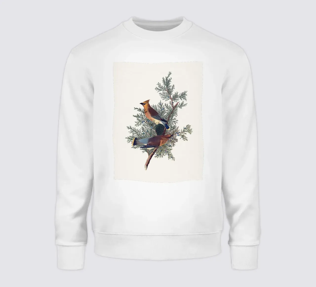 Audubon Cedar Bird sweatshirt by apoloprints