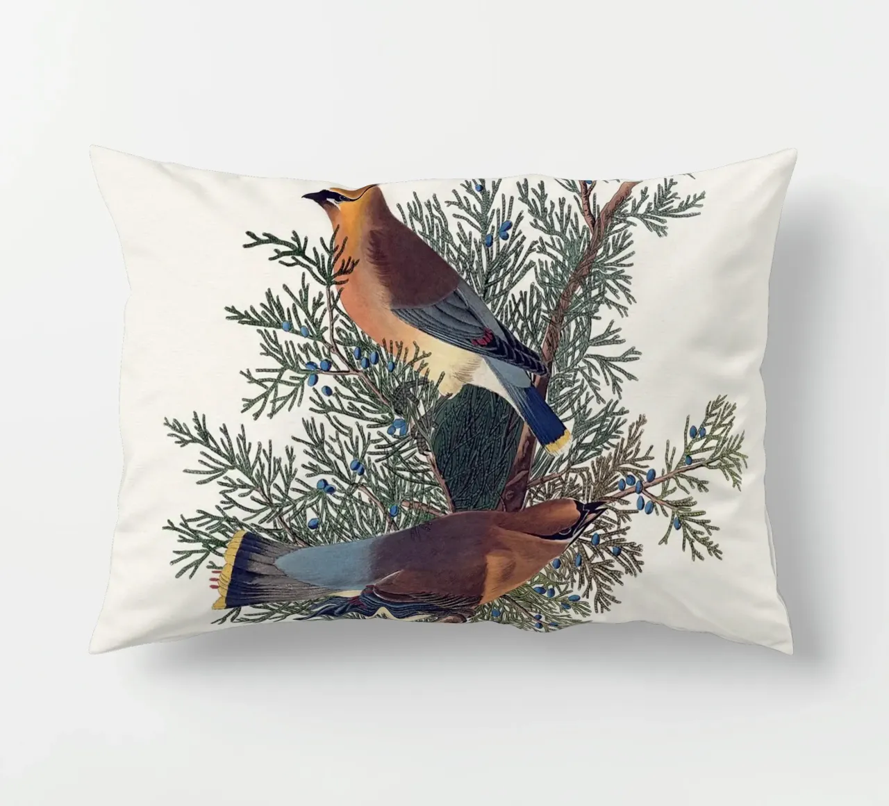 Audubon Cedar Bird cuscino da apoloprints