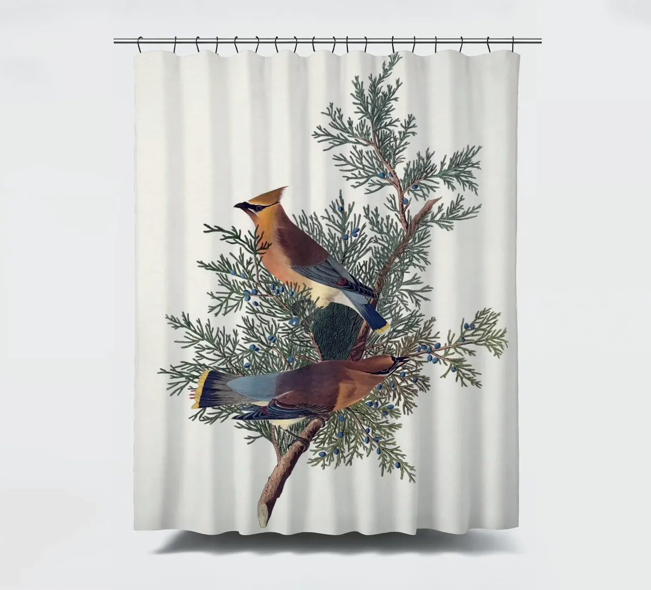 Audubon Cedar Bird tenda da doccia da apoloprints