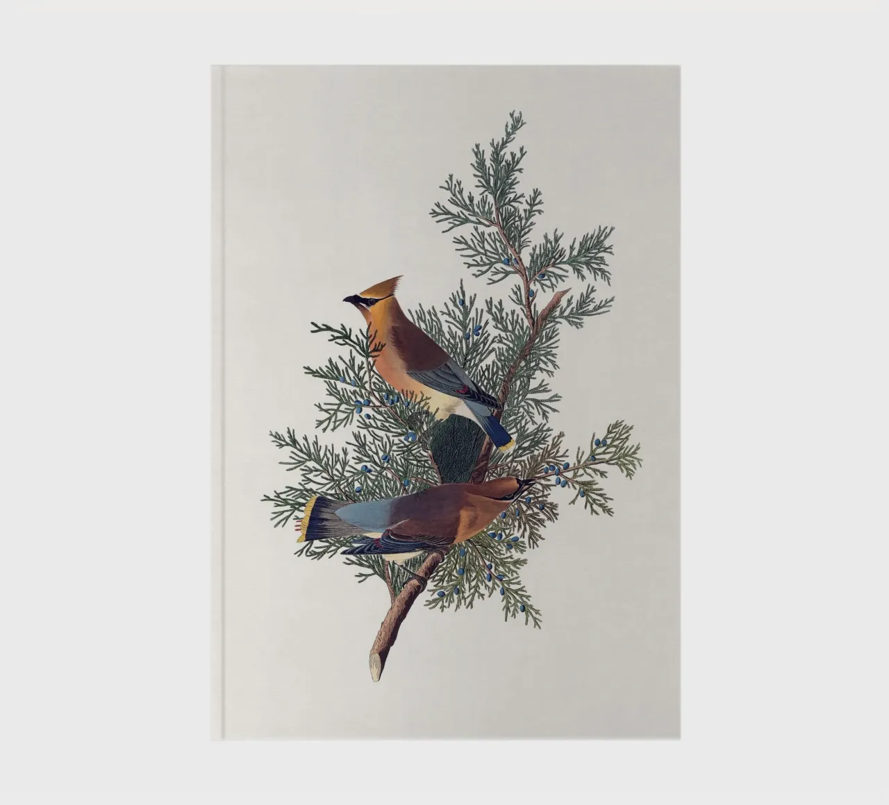 Audubon Cedar Bird notebook by apoloprints