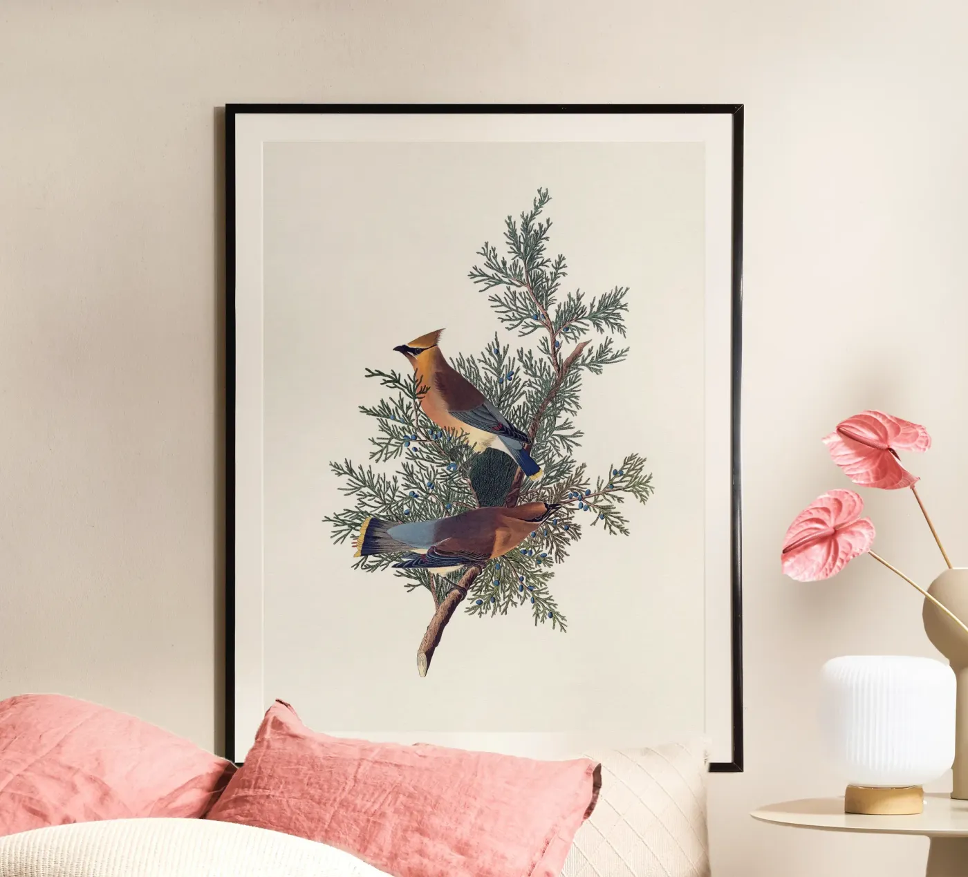 Uccello cedro di Audubon poster da Apolo Prints