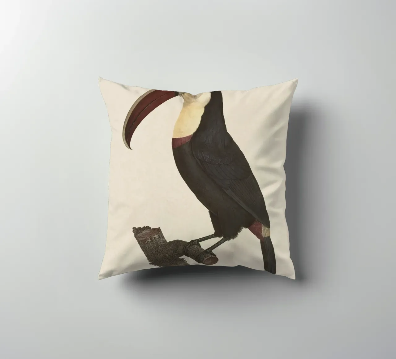 Bird Toucan no. 1 cuscino da apoloprints