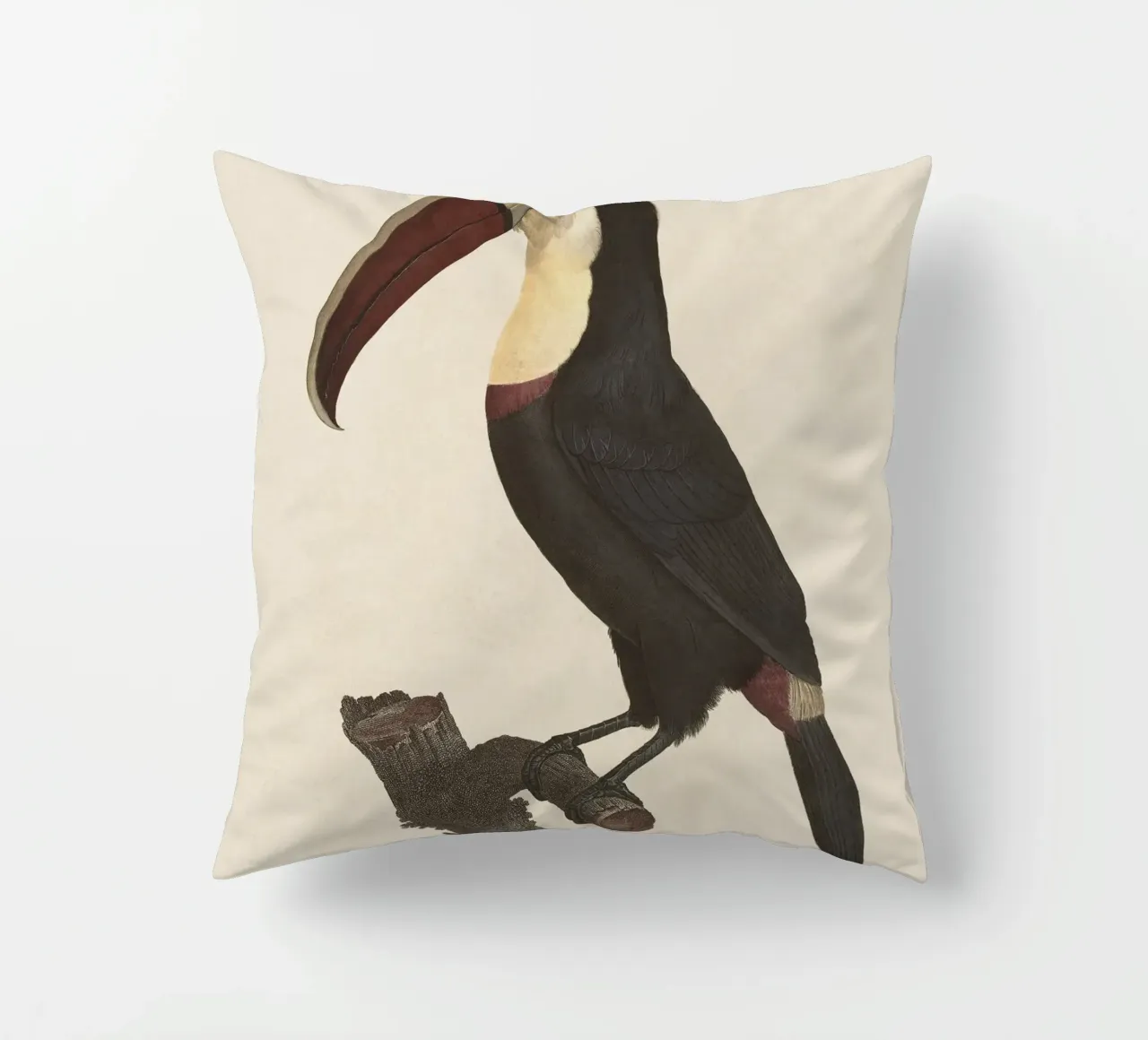 Bird Toucan no. 1 cuscino da apoloprints