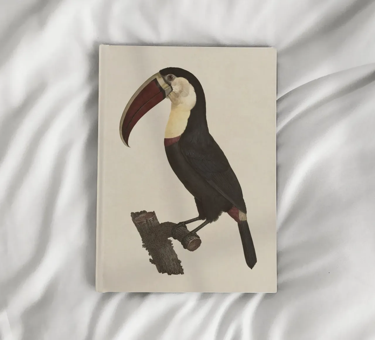 Bird Toucan no. 1 diario da apoloprints