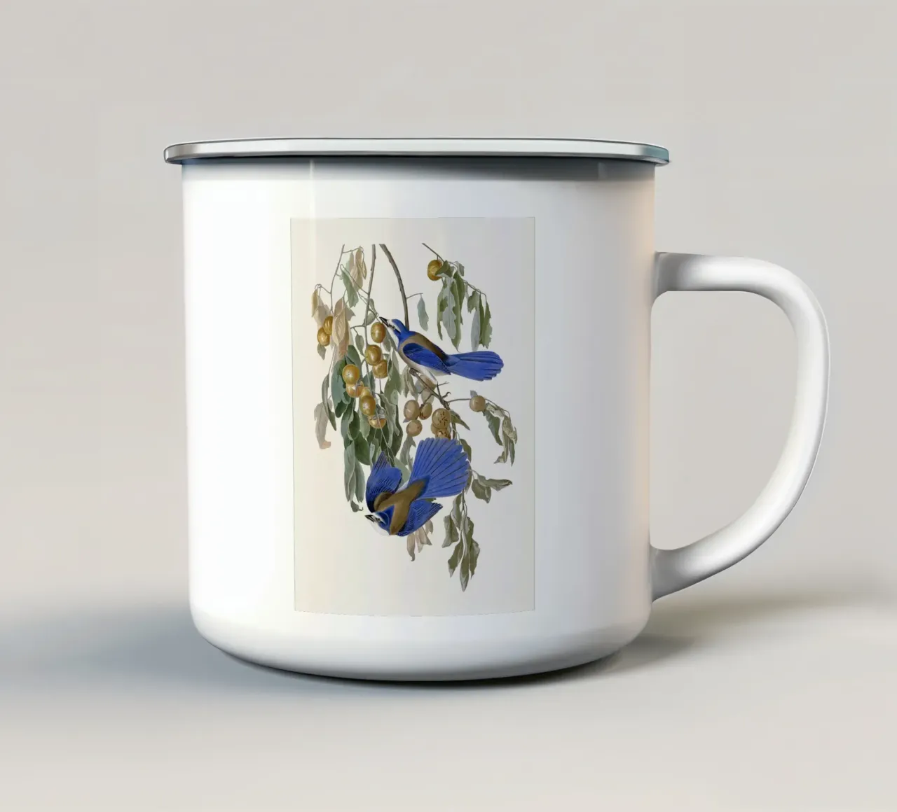 Audubon Florida Jay tazza in smalto da apoloprints