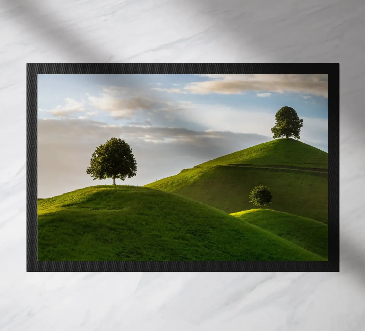 foliage vegetation zerbino da Histrol