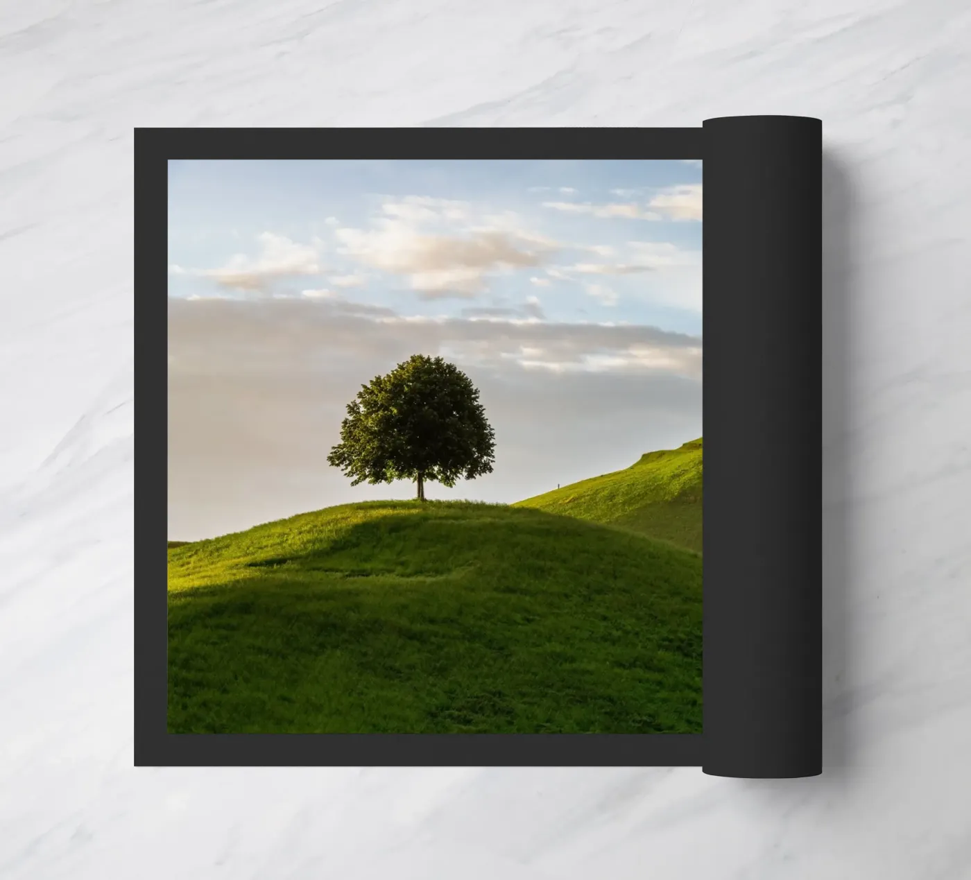 foliage vegetation zerbino da Histrol