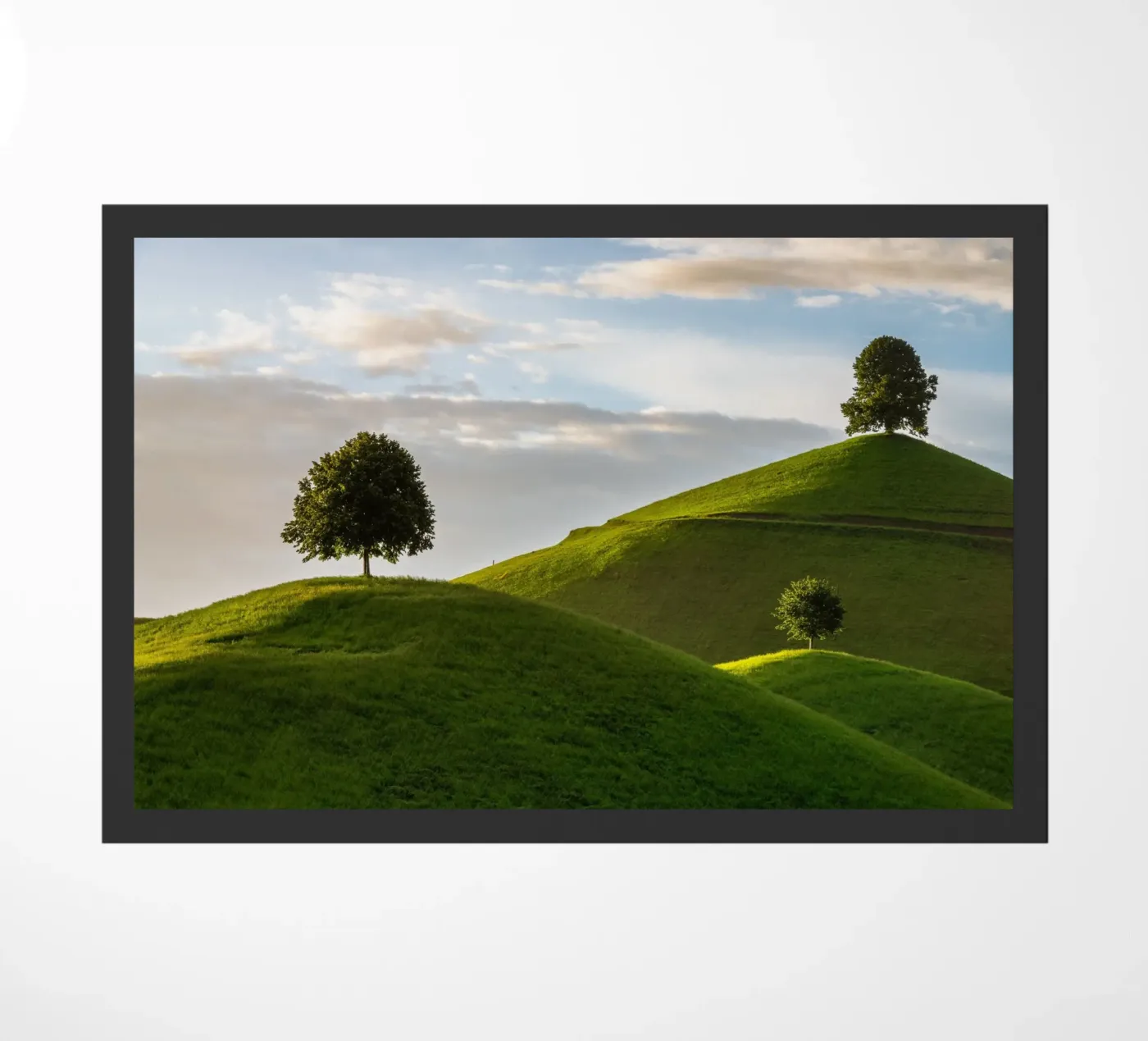 foliage vegetation zerbino da Histrol