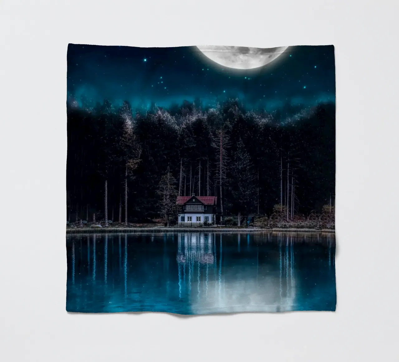 windows roof tall trees coperta in pile da Histrol