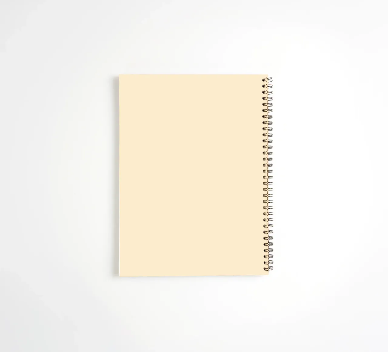 Snail Vibes spiral notebook by Andy Westface