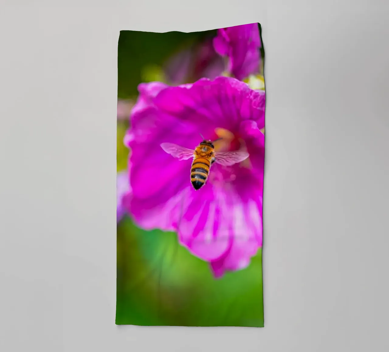 L'ape atterra su un fiore asciugamano da bagno da Marcus Beckert | Fotografie