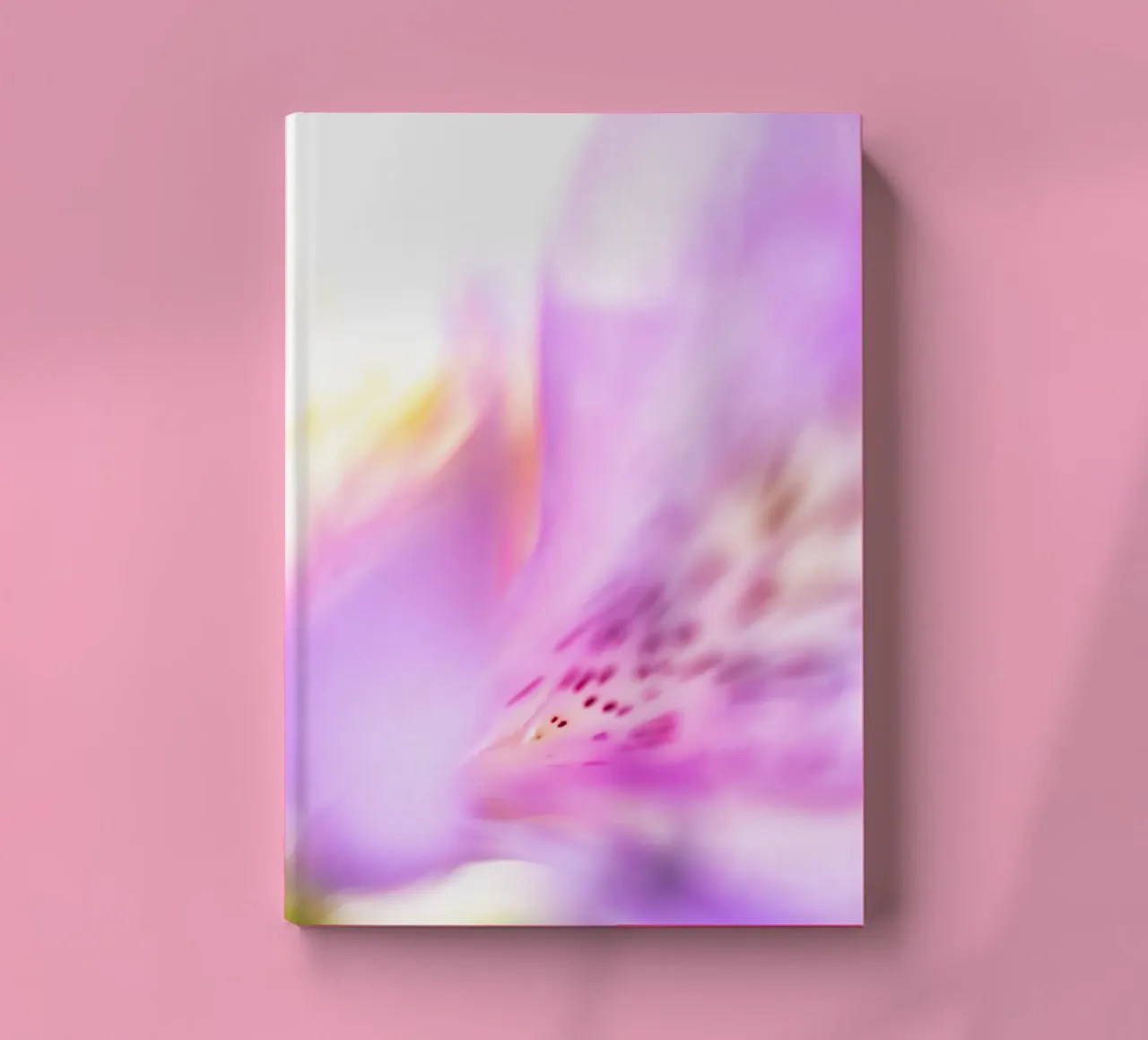 Studi sulla flora #16 diario da rafael campezato