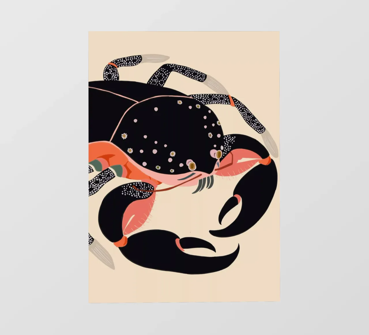 Mystic Crab photo wallpaper by ArtsySesta
