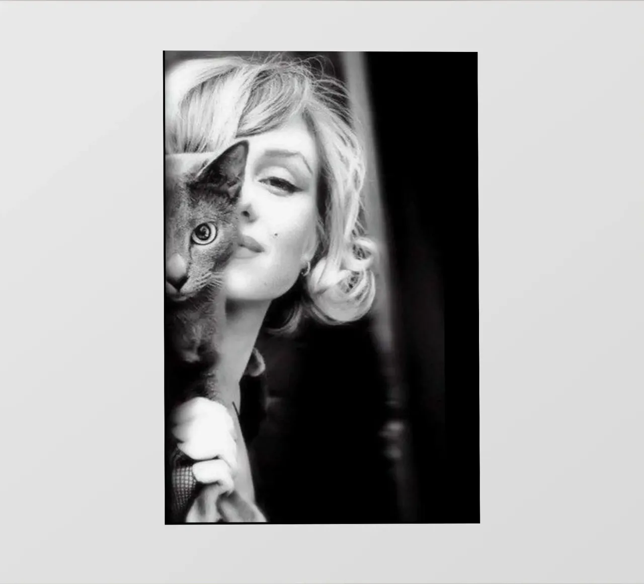 Marilyn con gatto pellicola backlit da glover studio