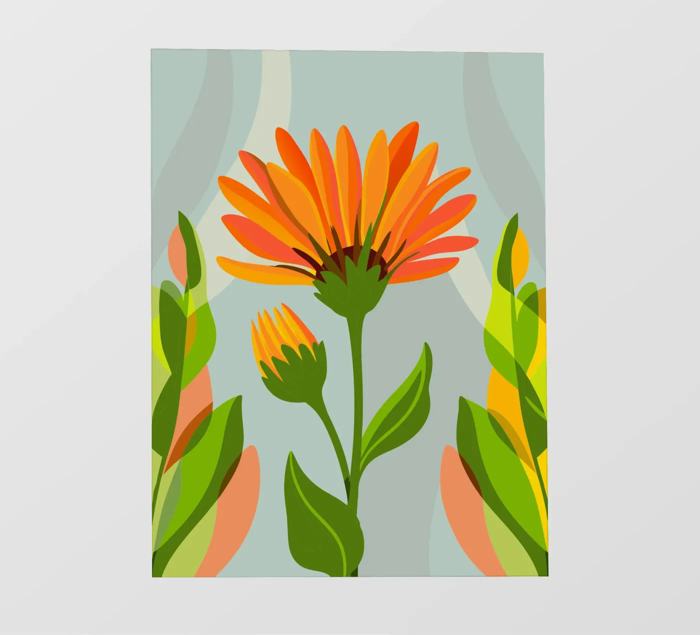 Crisantemo pellicola backlit da HAPPY SHOP