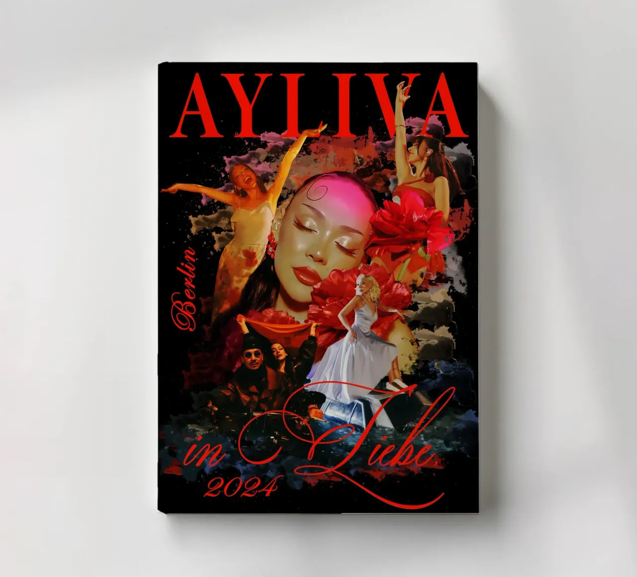 tour musicale 2024 - ayliva diario da AudioLibrary