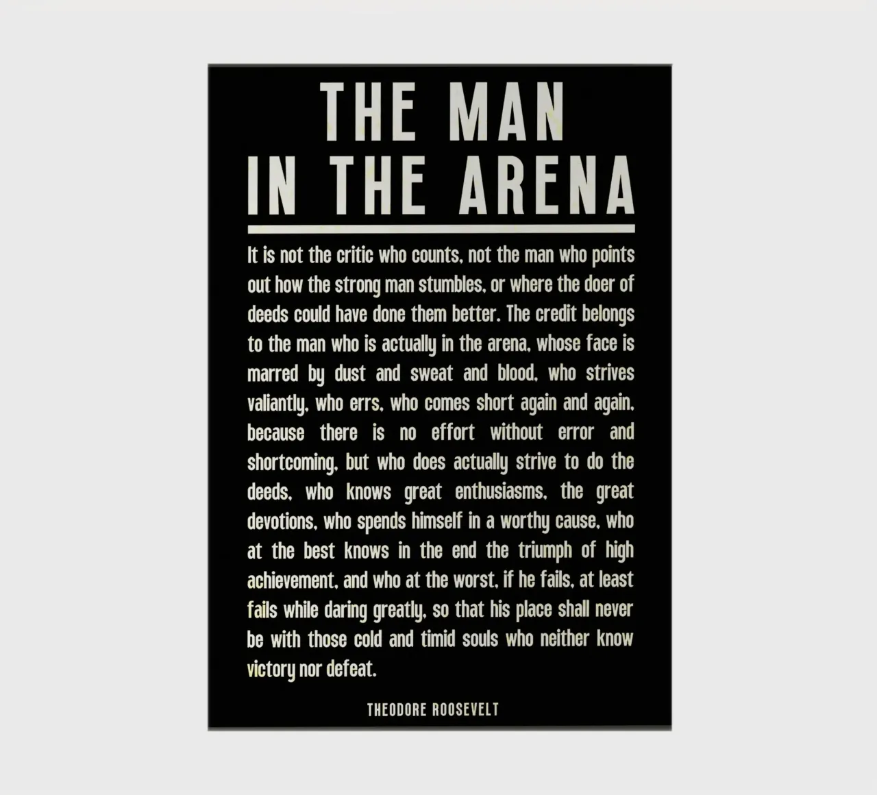 The Man in the Arena notebook by Ashley Studio