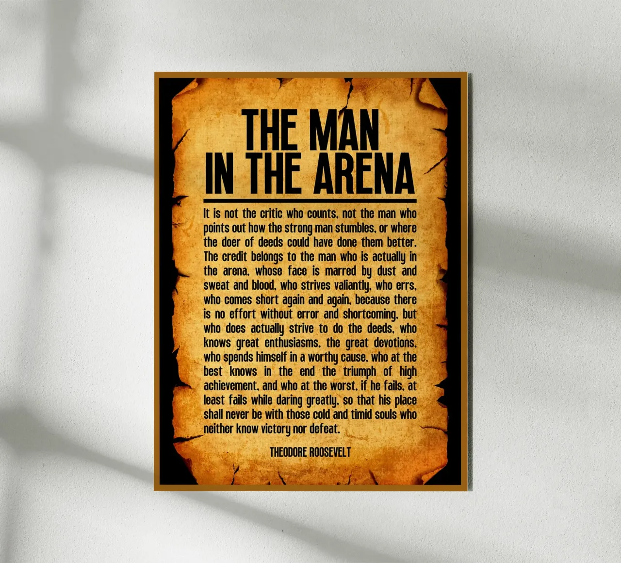 The Man in the Arena forex plate by Ashley Studio