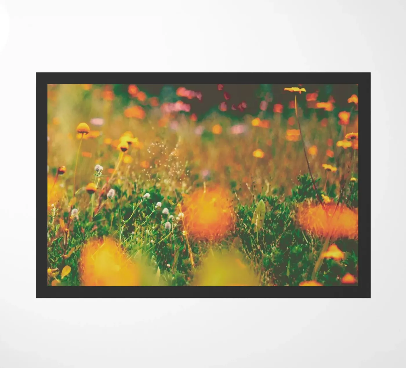 sweet summer zerbino da Ingrid Beddoes