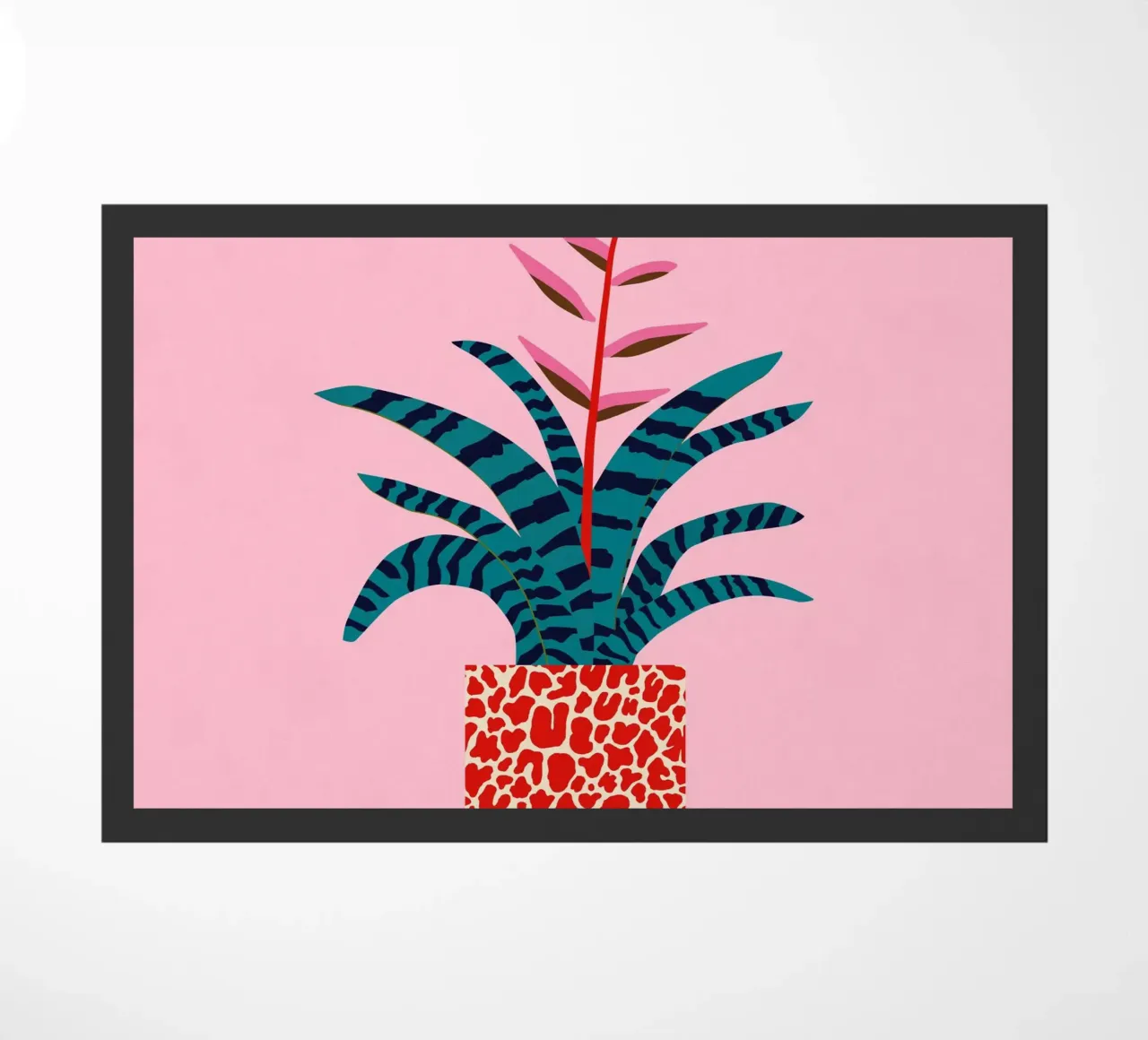 Bromeliade zerbino da Asha Designs