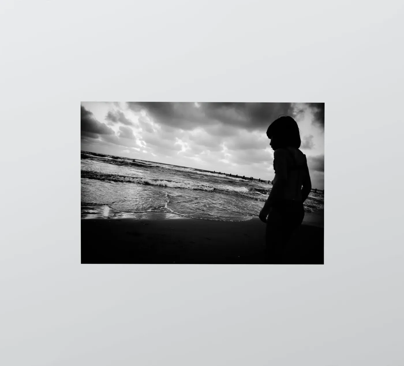 Op zoek naar sticker van Tal Paz-Fridman