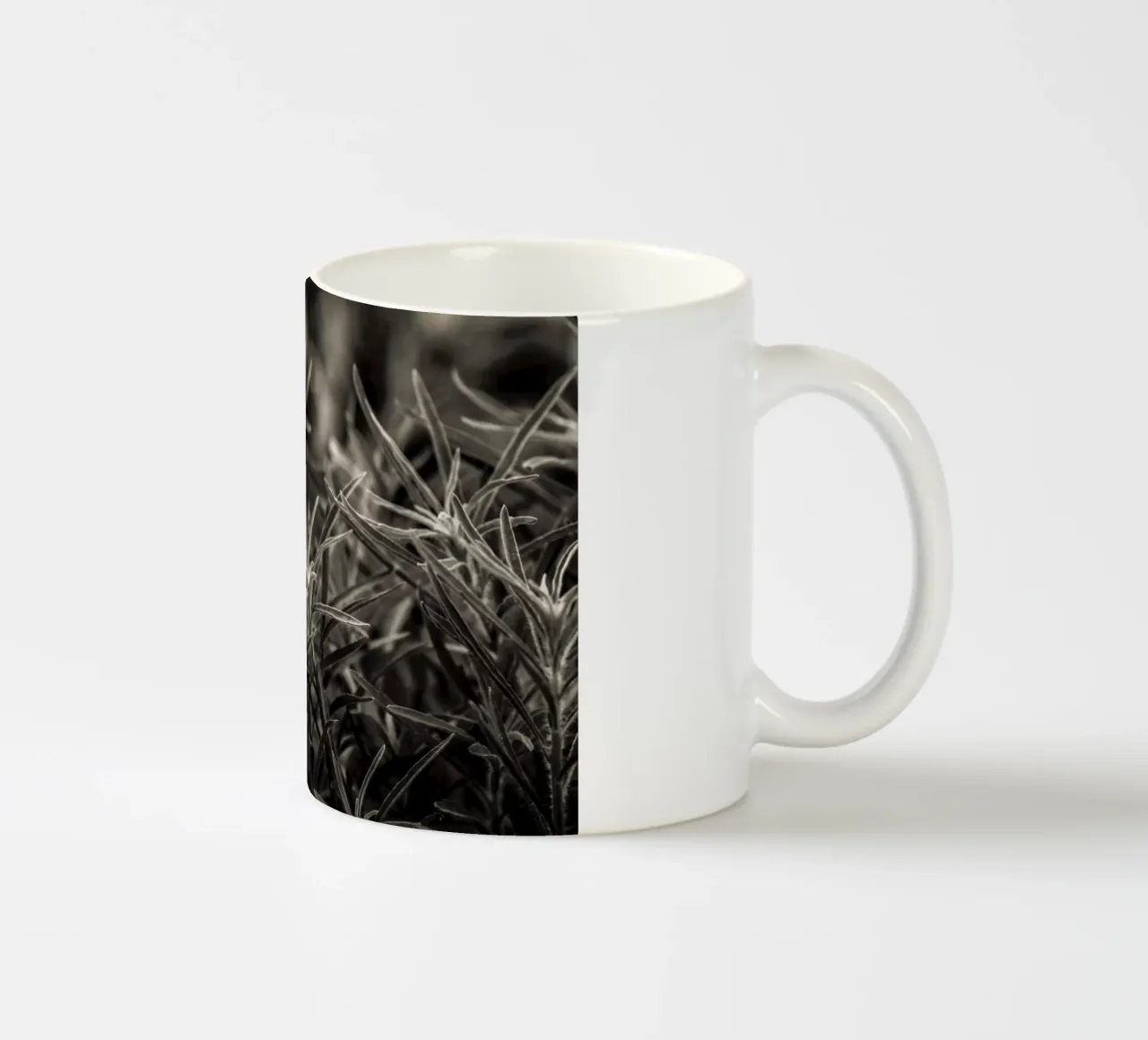 Pianta di rosmarino tazza in ceramica da Tal Paz-Fridman