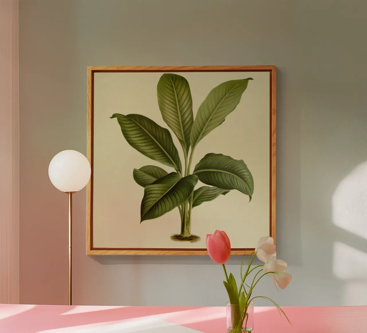 Aruba plexiglass da vintagebotanics