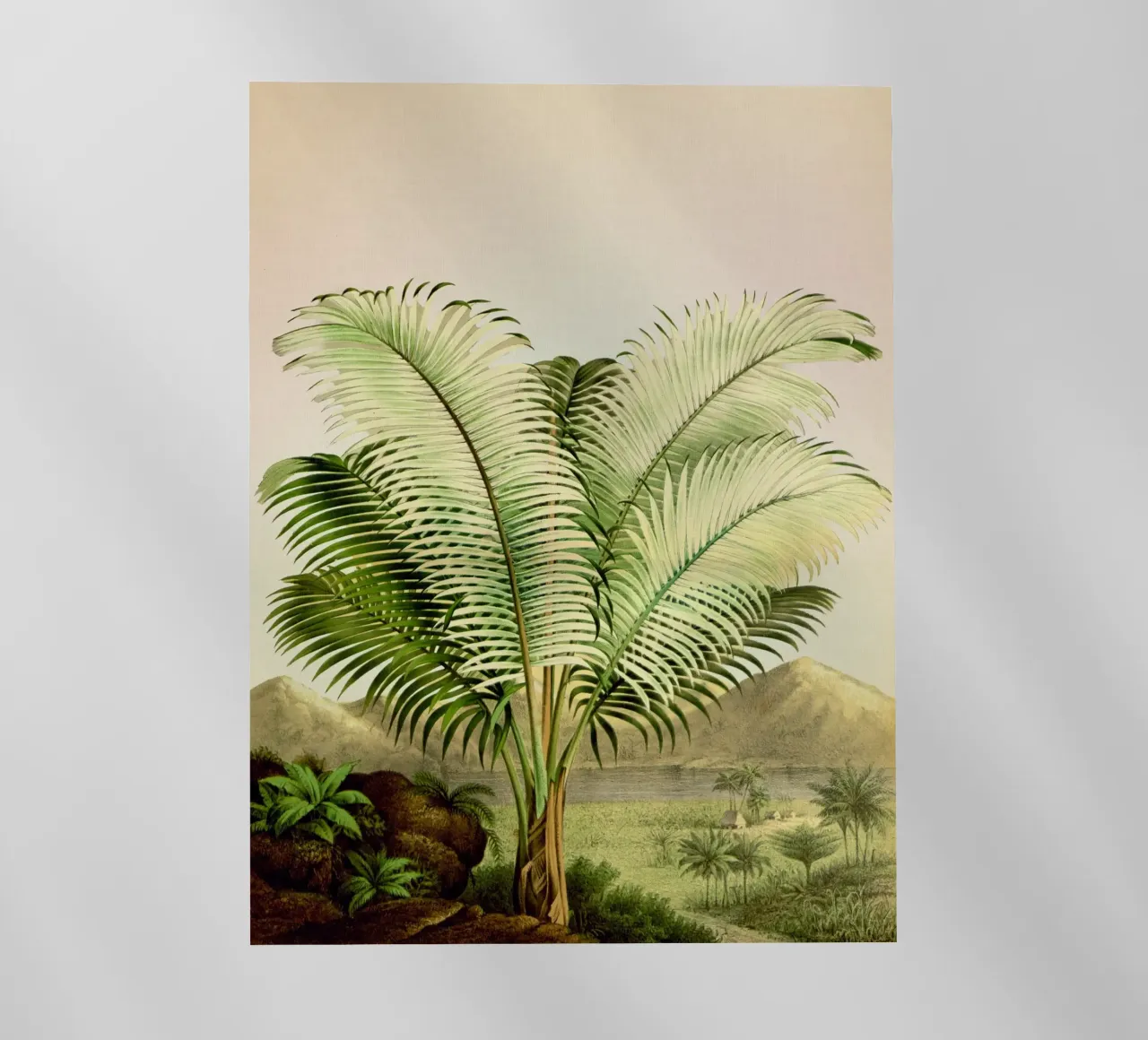 Bermuda pellicola backlit da vintagebotanics