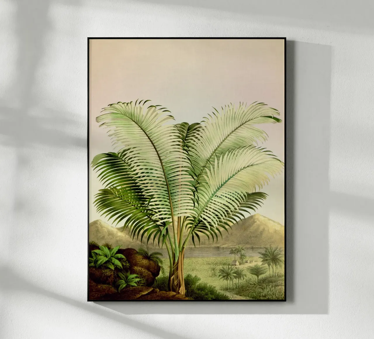 Bermuda plexiglass da vintagebotanics