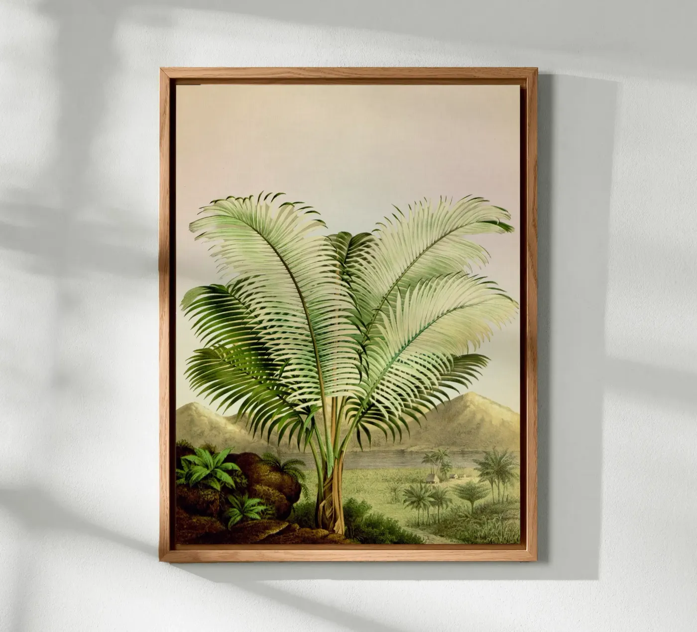 Bermuda alluminio dibond da vintagebotanics