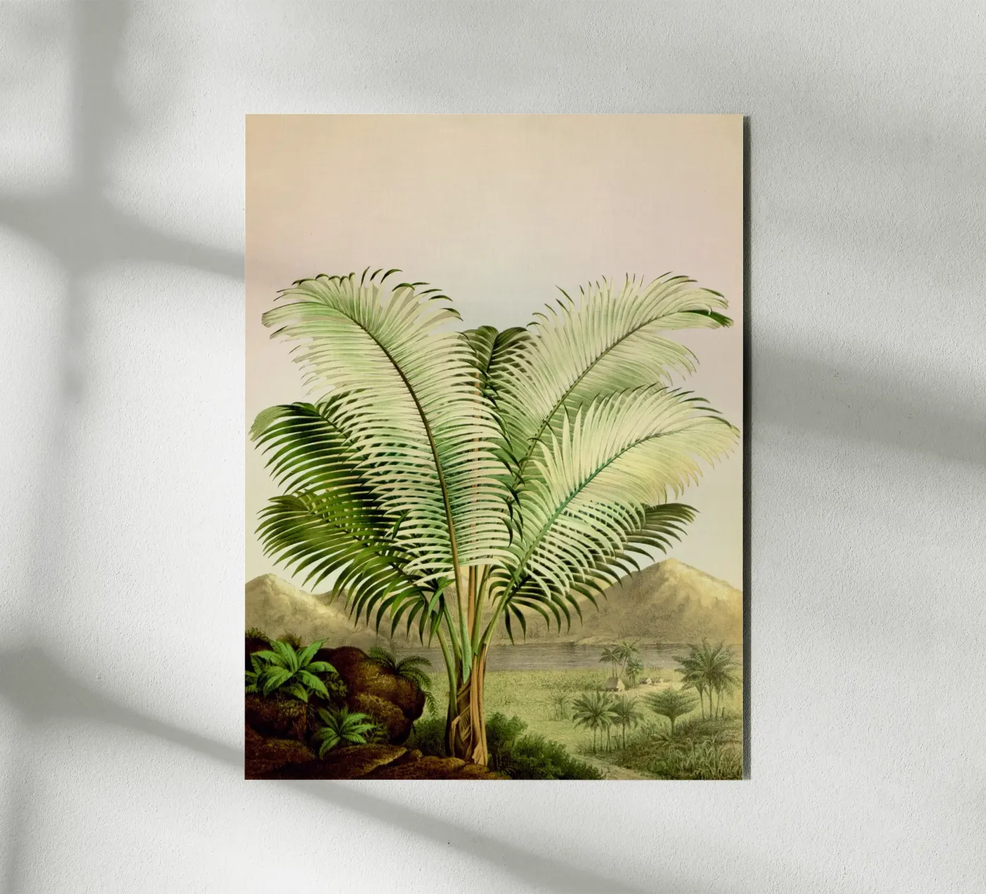 Bermuda alluminio dibond da vintagebotanics