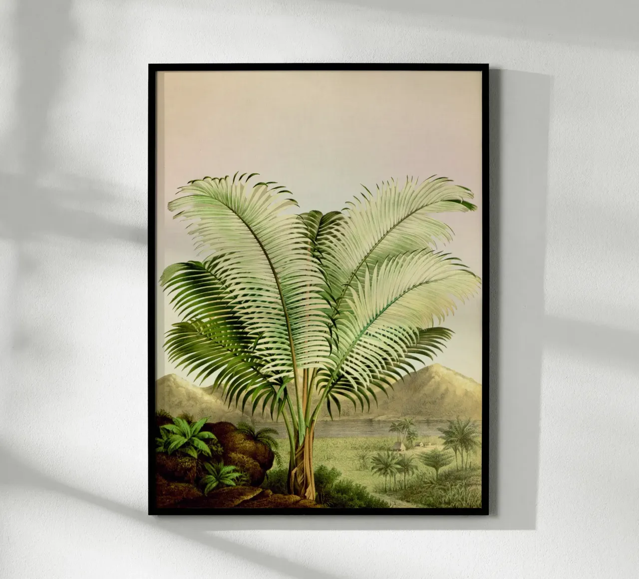 Bermuda Poster von vintagebotanics