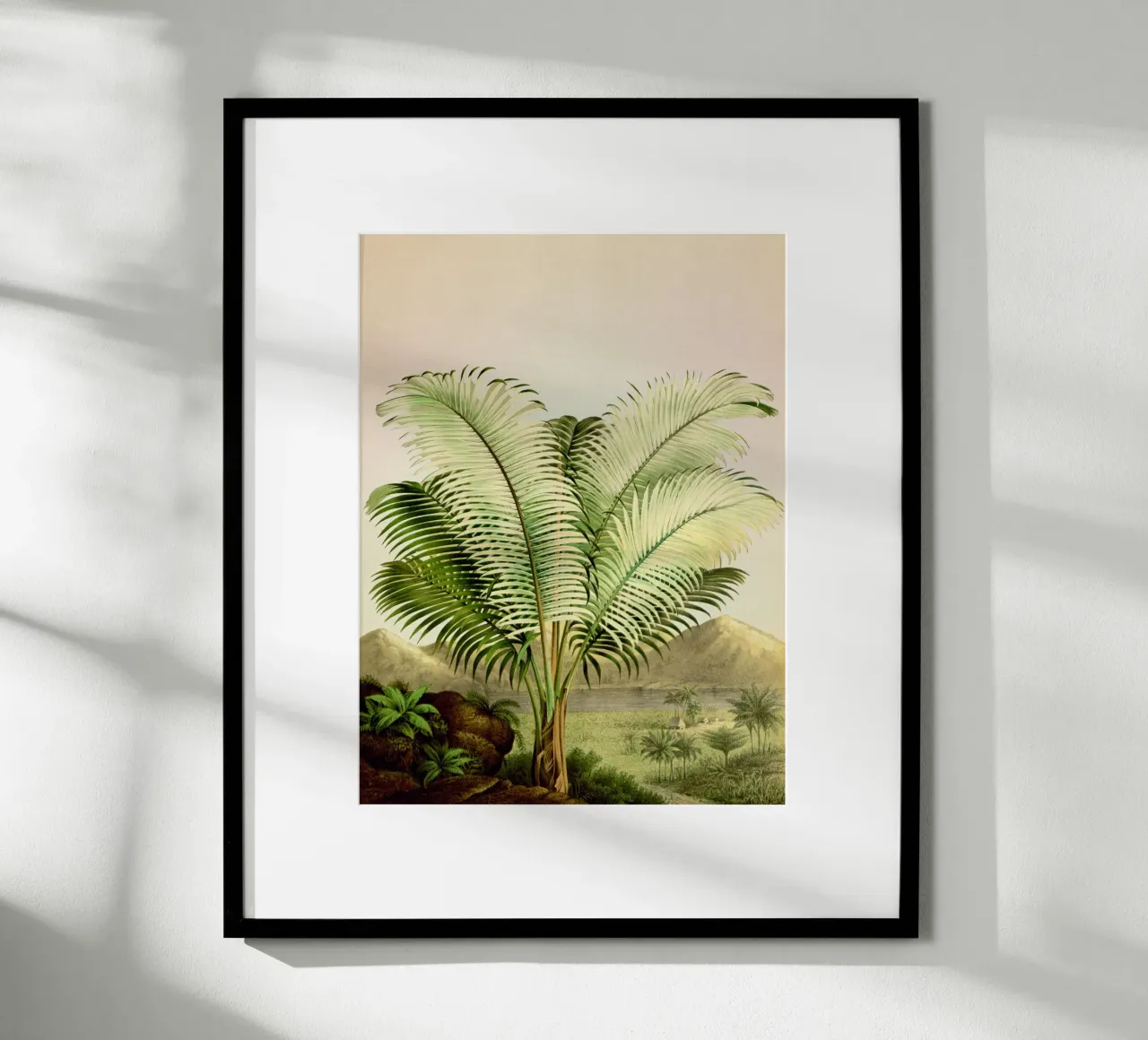 Bermuda Poster von vintagebotanics