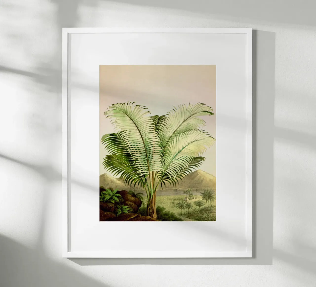 Bermuda Poster von vintagebotanics