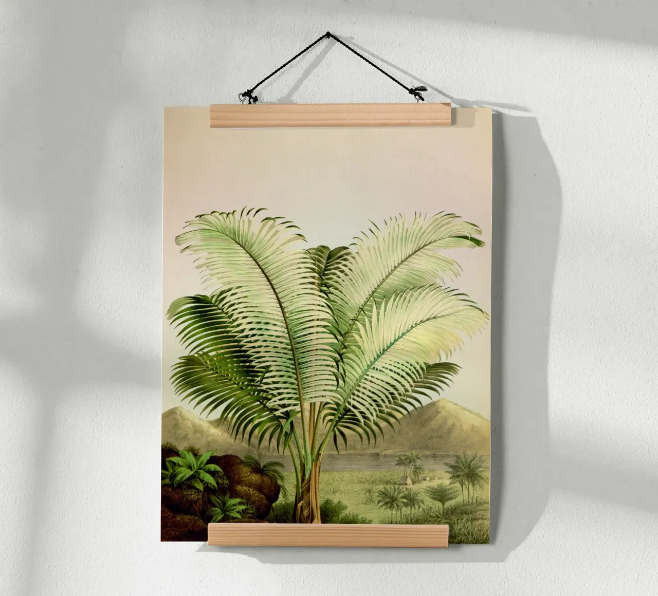 Bermuda Poster von vintagebotanics