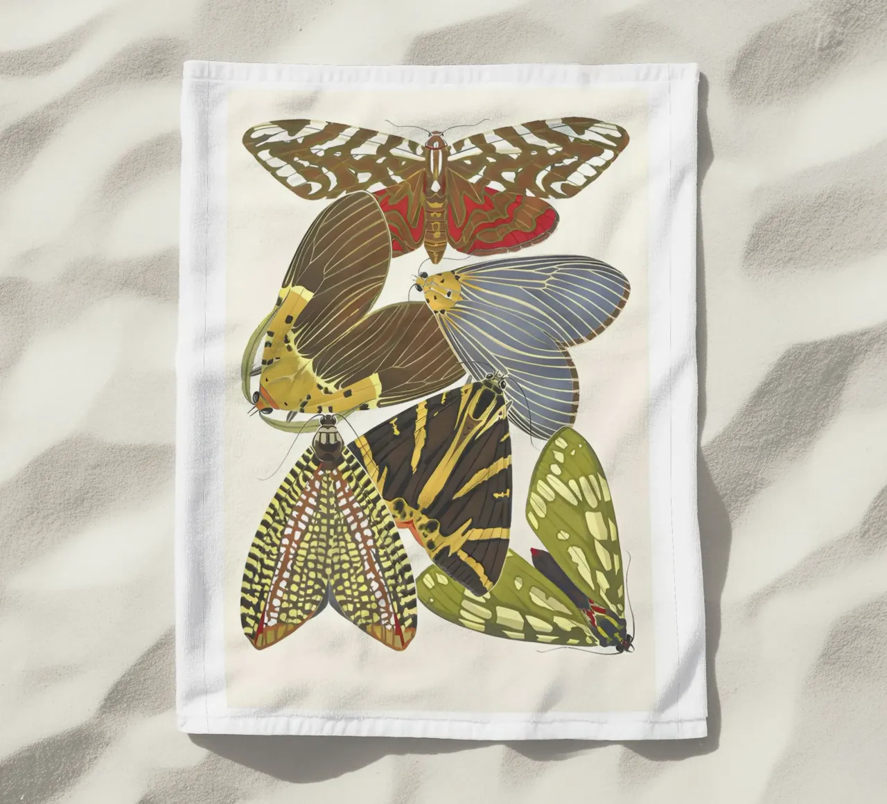 mariposas insectos naturaleza toalla de playa de Graham Robertson