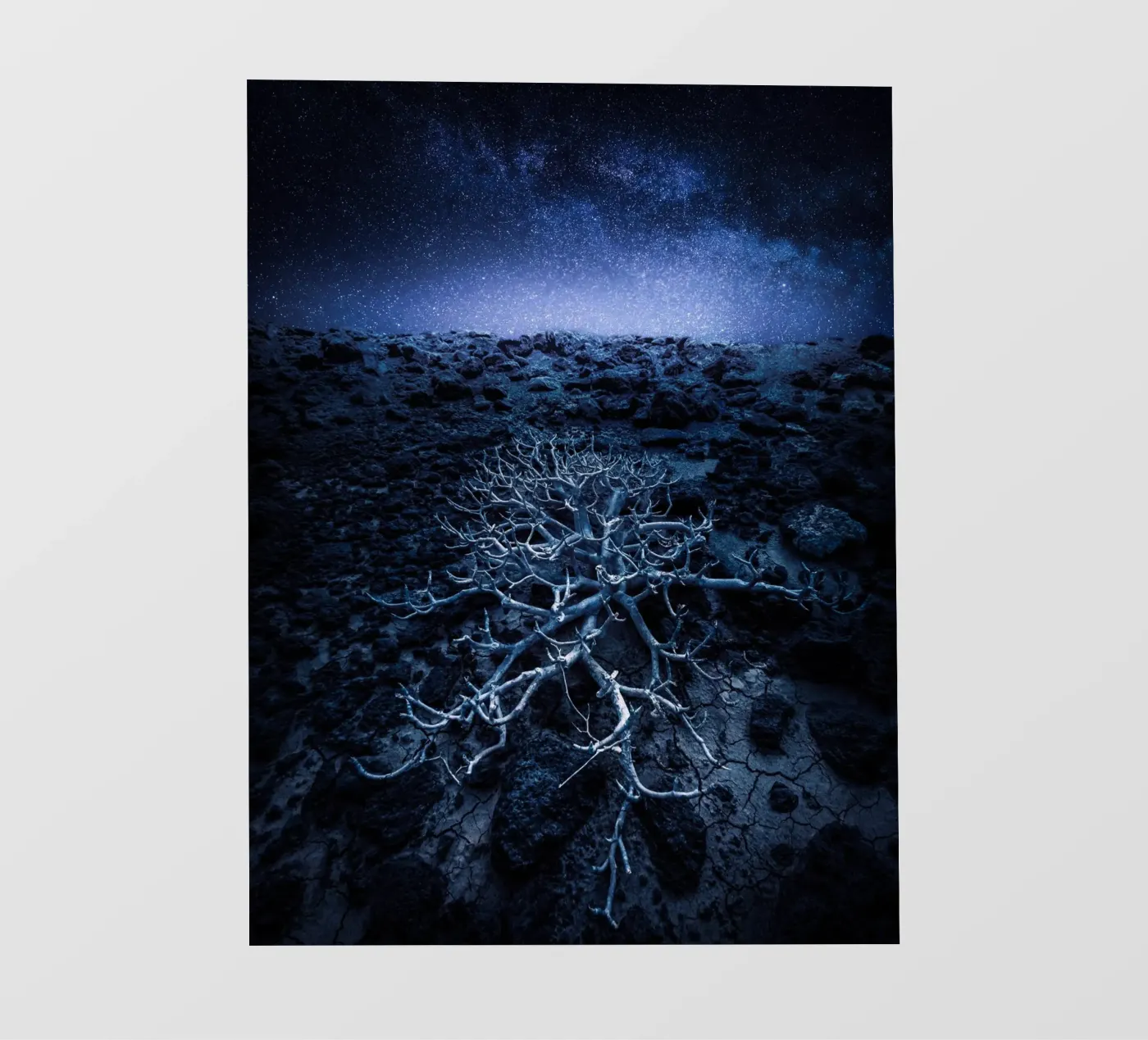 Starfallen fotobehang van somewhere.soul.escape