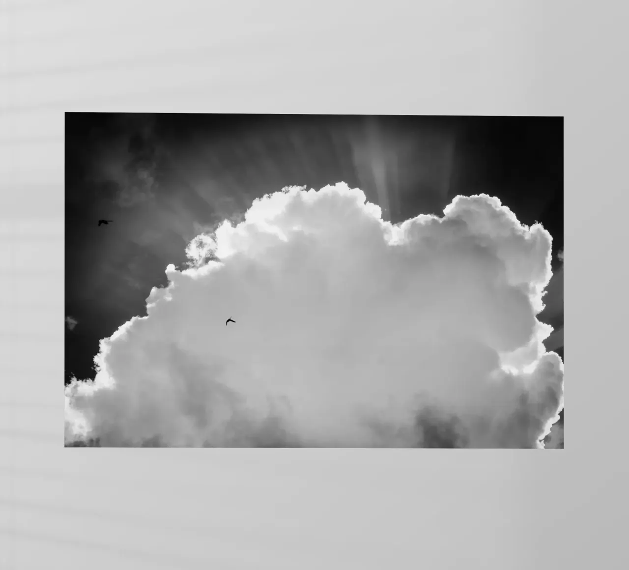 Celeste pellicola backlit da Tal Paz-Fridman