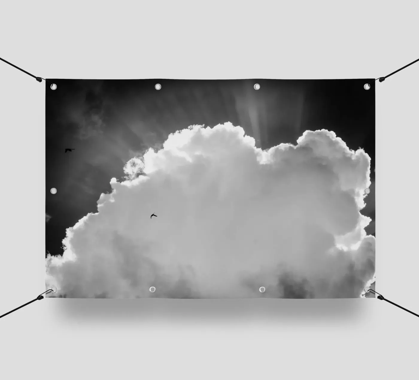 Celeste telo in pvc da Tal Paz-Fridman