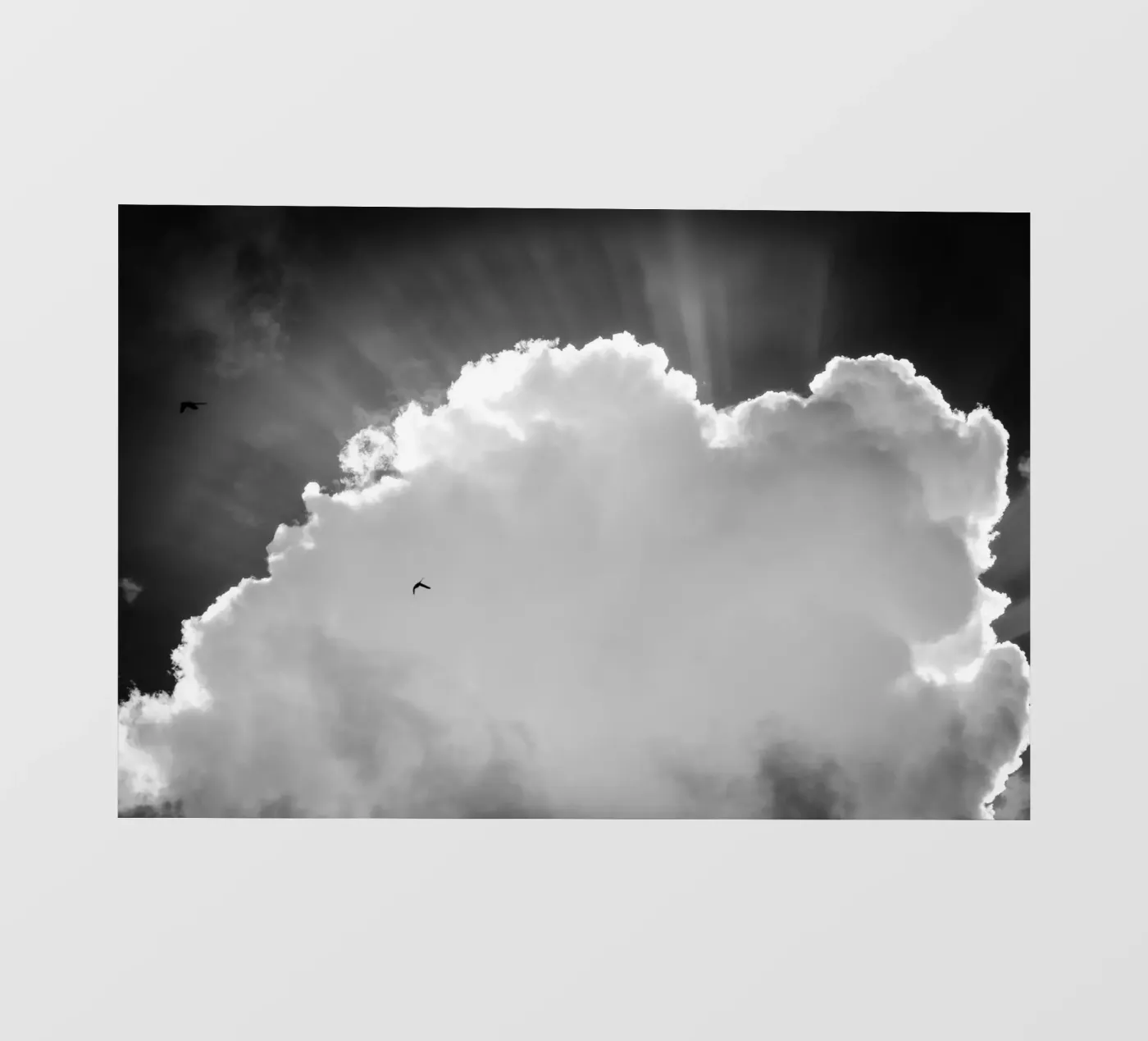 Celeste telo in pvc da Tal Paz-Fridman