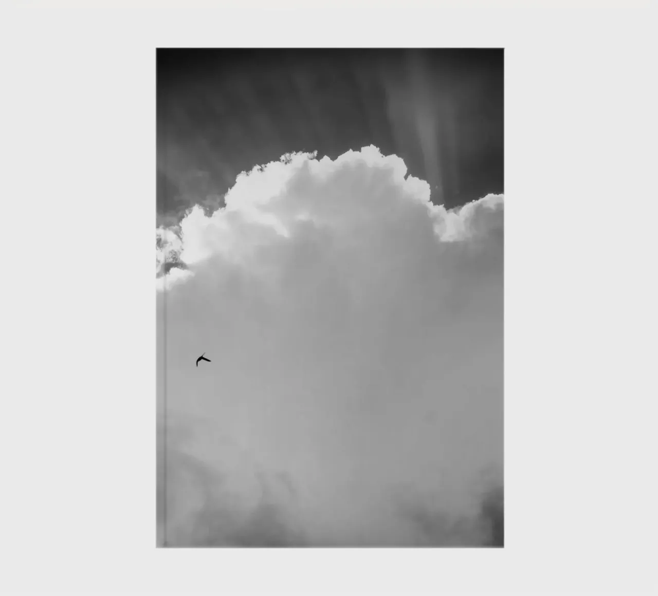 Heavenly notebook by Tal Paz-Fridman