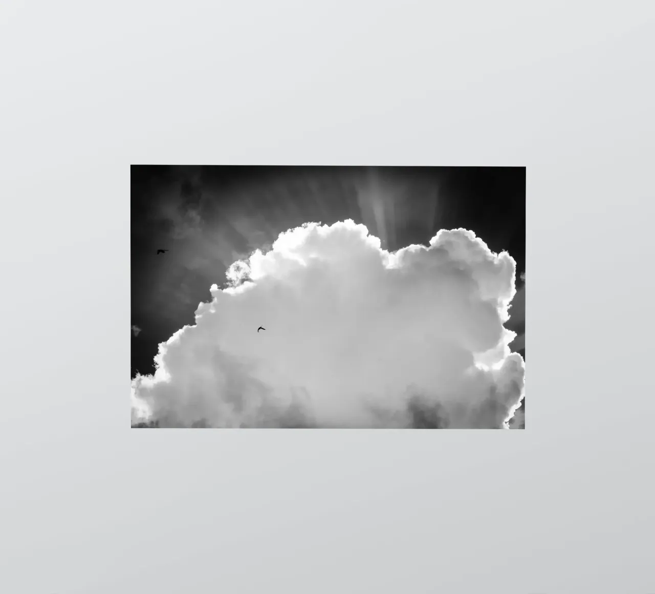 Celeste adesivo da Tal Paz-Fridman