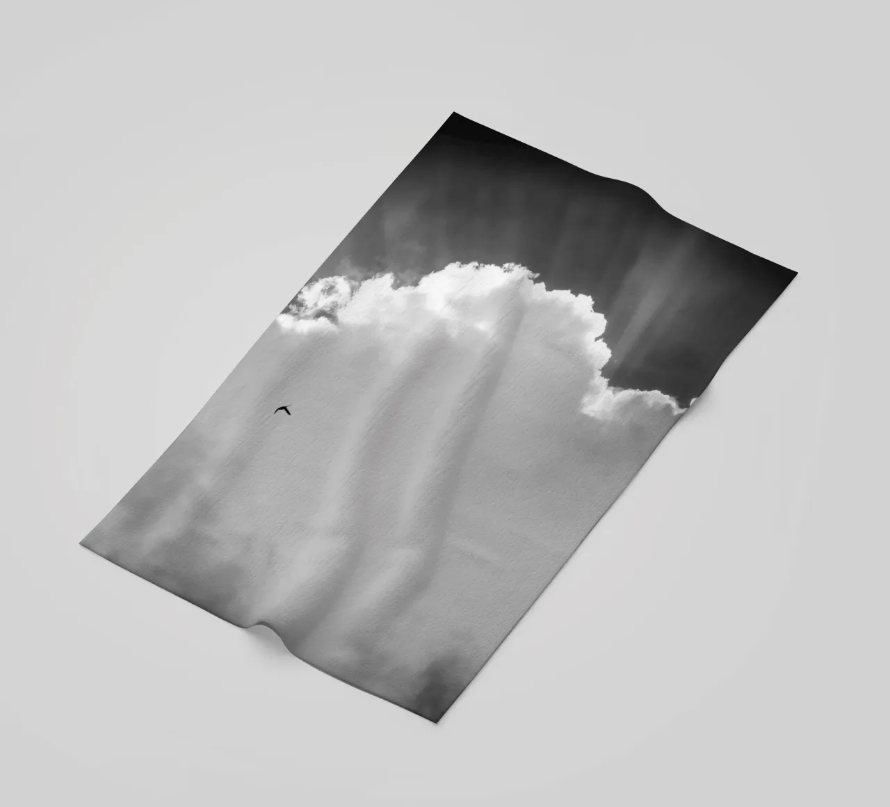 Celeste telo mare da Tal Paz-Fridman